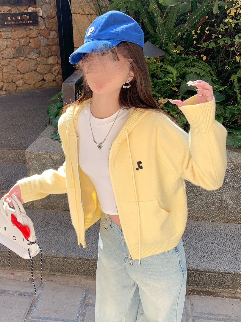 ins风针织开衫2025新款毛衣外套秋季女装早秋韩系穿搭连帽上衣