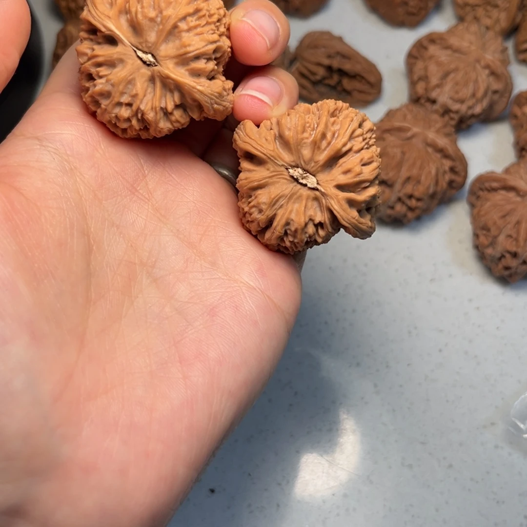 酷***离大叶紫檀（黑酸枝木类）