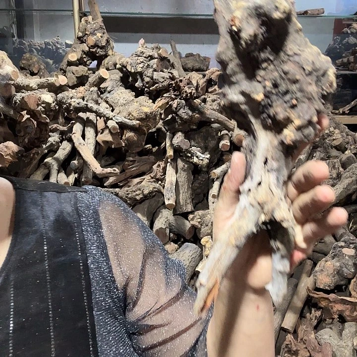 达***0香榧木火琉璃的故事是一