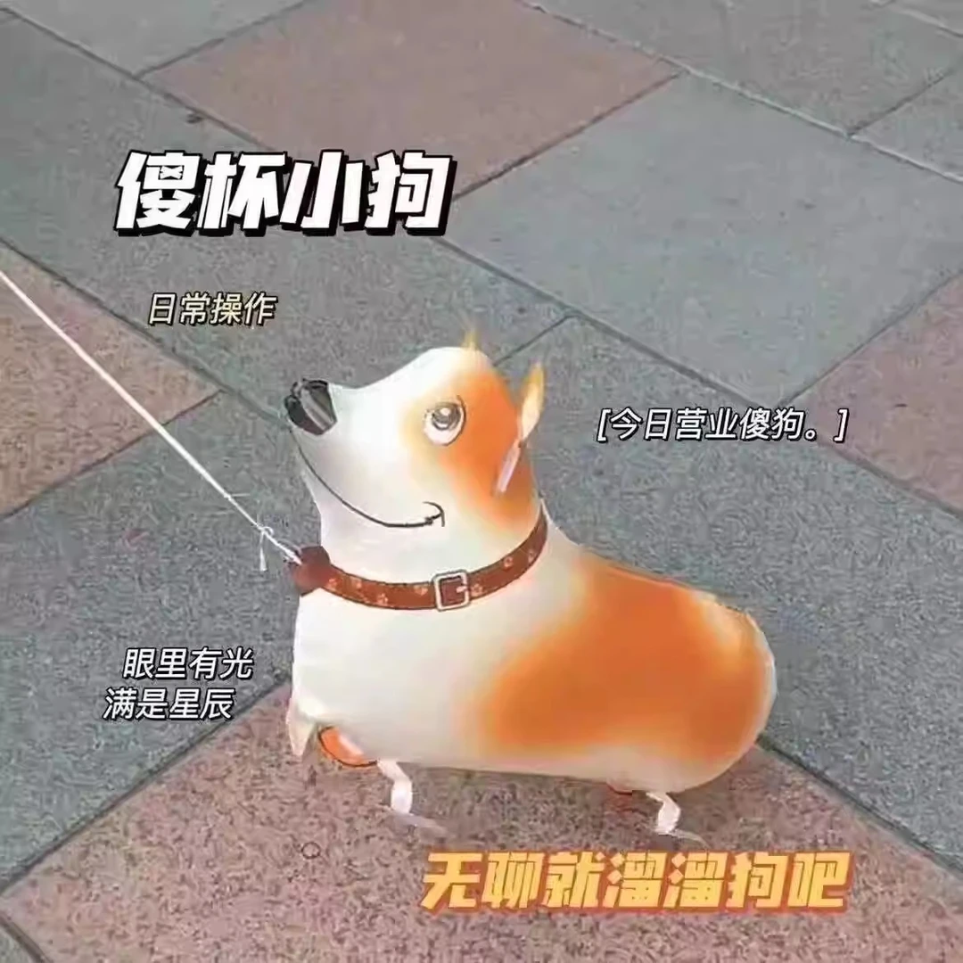 网红走路气球柯基小狗会走路的动物气球牵绳散步生日红包结婚专用