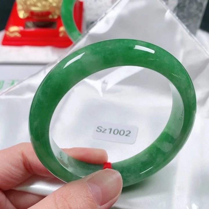 未镶嵌手镯翡翠缅甸天然A货翡翠手镯Sz1002圈口58