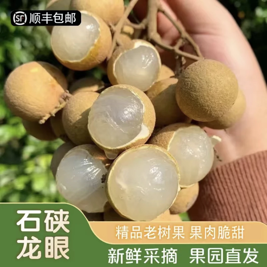 【顺丰包邮】广东正宗石硖龙眼肉厚多汁当季孕妇水果新鲜采摘J