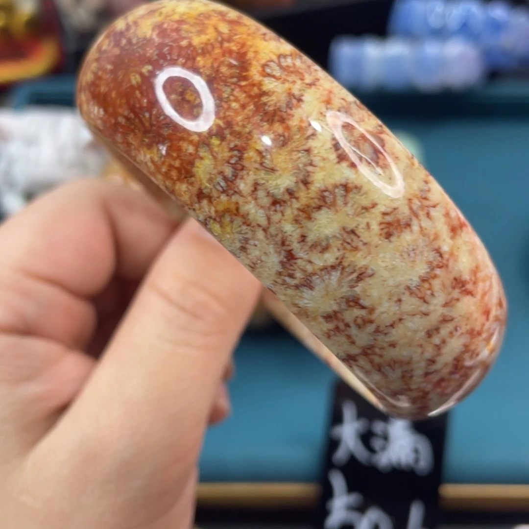 未镶嵌手镯硅化玉