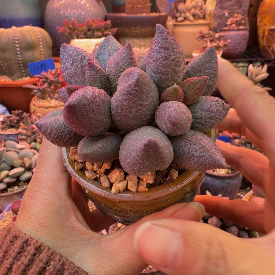 一组自拍，感谢支持