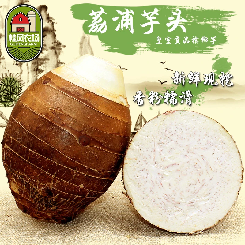 桂凤农场正宗广西荔浦芋头香芋粉面新鲜产地农场现挖现发当季