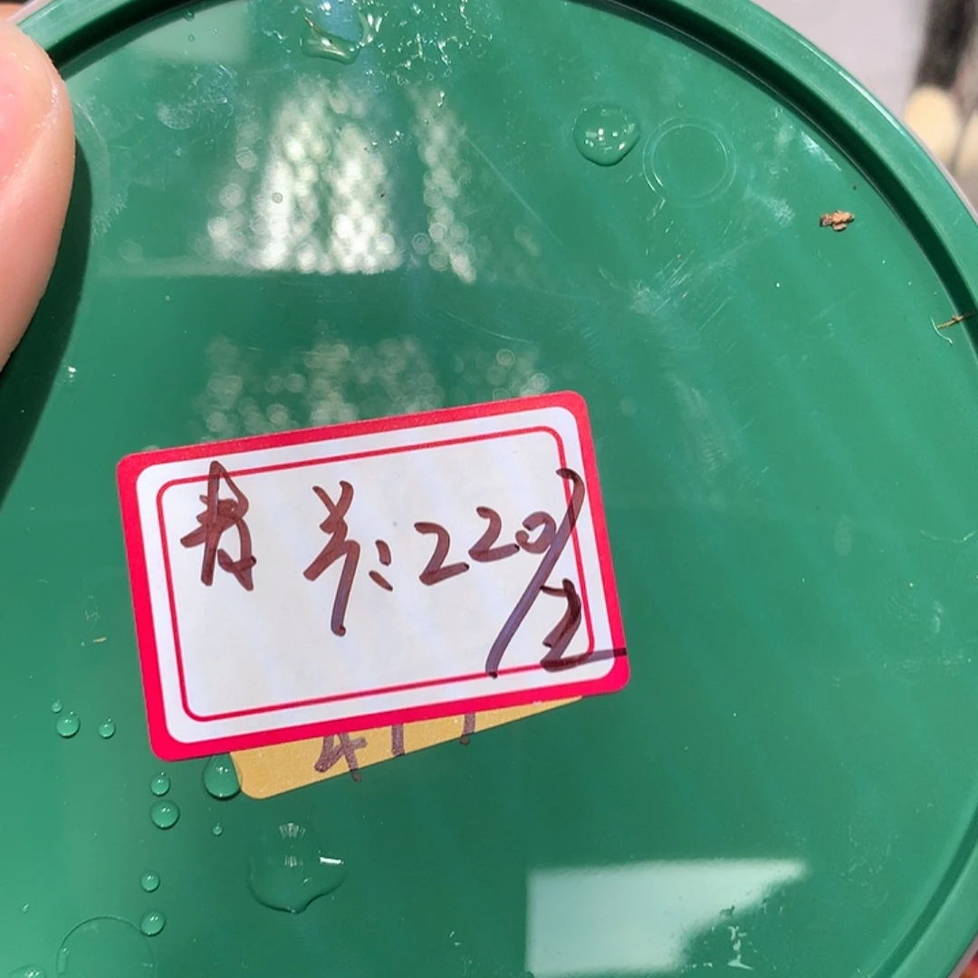 清凉猫专拍奔跑的