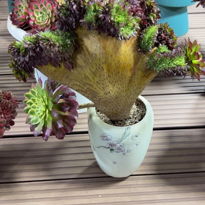 天合缀化带龙头凤尾脱土发货