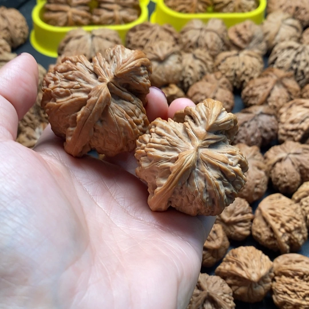 把件文玩核桃49白狮子角