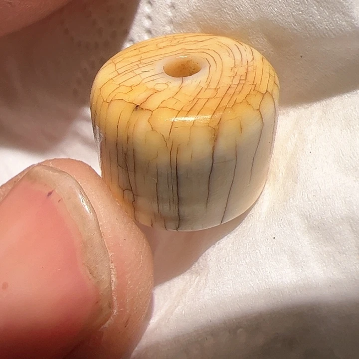 香榧木在这里的时候