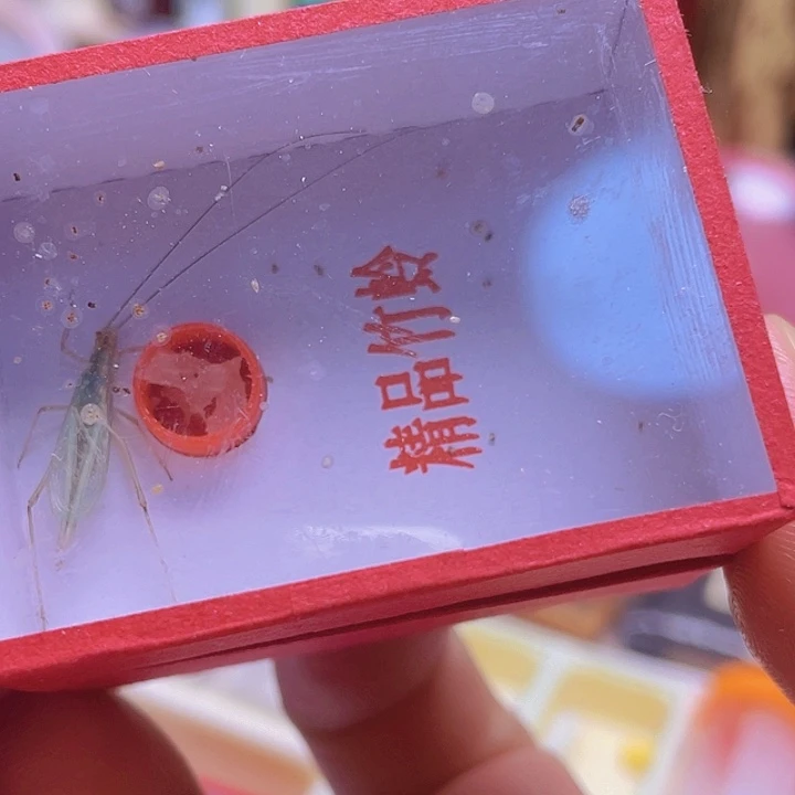 东***伯黑金1天水1啊啊啊啊啊啊啊