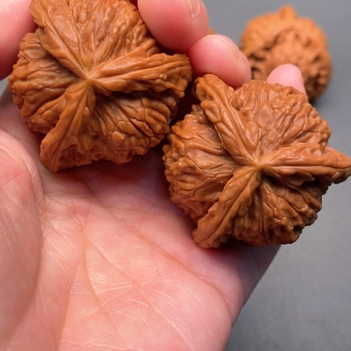 木质类风***丷核桃核桃