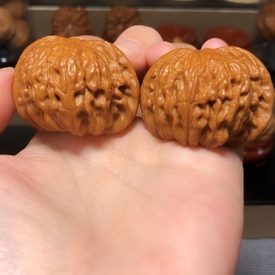 老树山地红皮闷尖磨