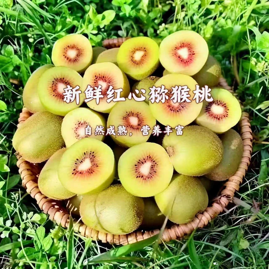 正宗贵州水城猴场红心猕猴桃奇异果当季新鲜孕妇水果香甜多汁个人