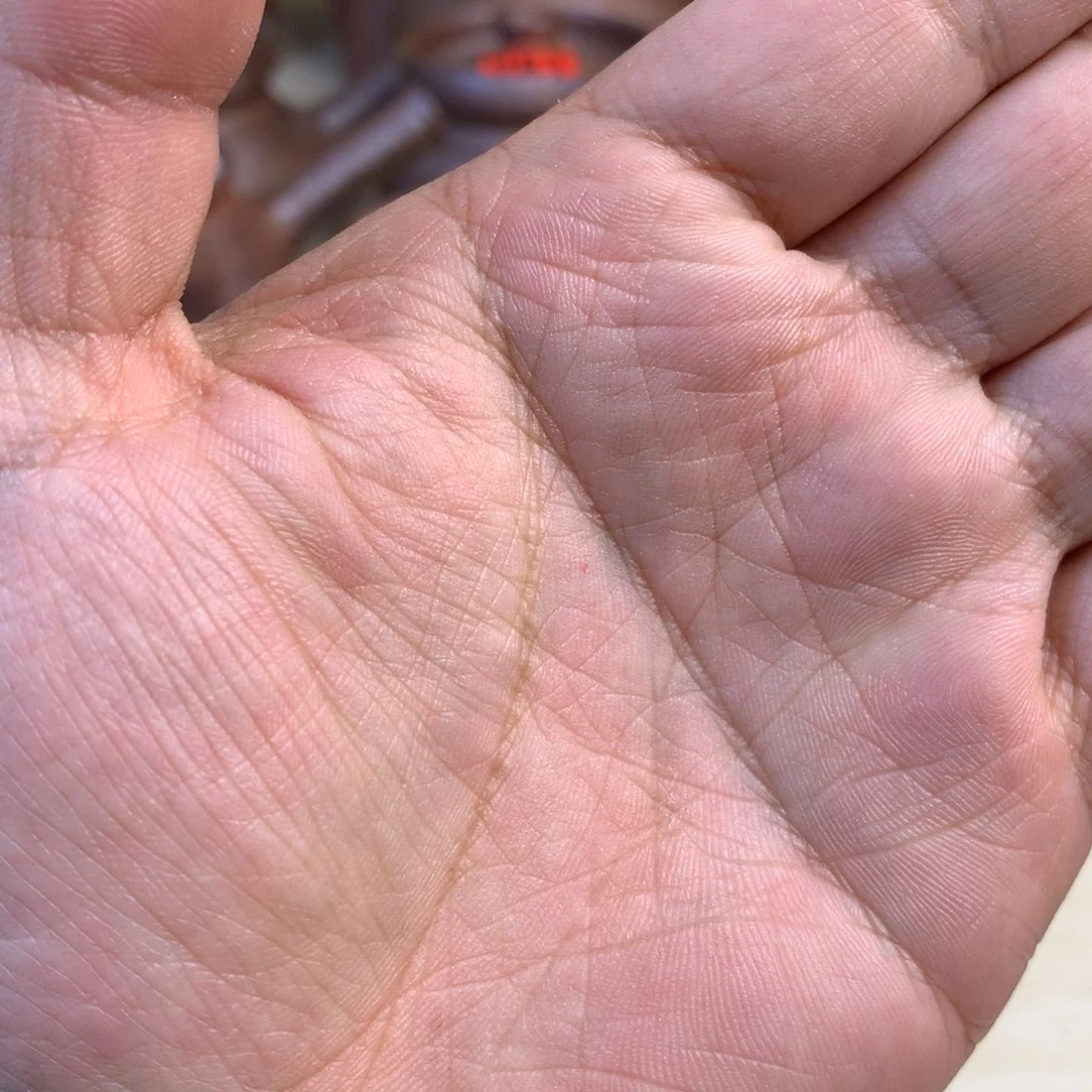 主播间一物一拍烤茶罐