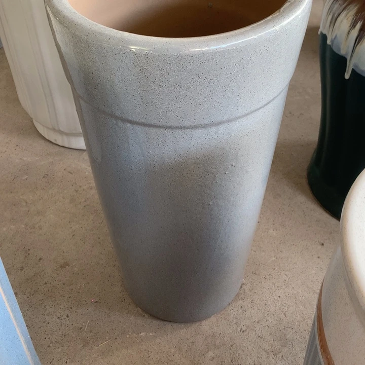 花盆里的小猫咪们都好可爱啊哈哈