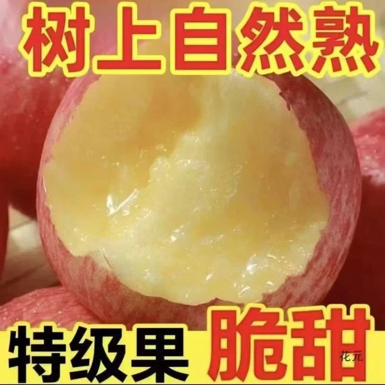 2025年正宗红富士正宗红富士脆甜多汁农场直销yz2