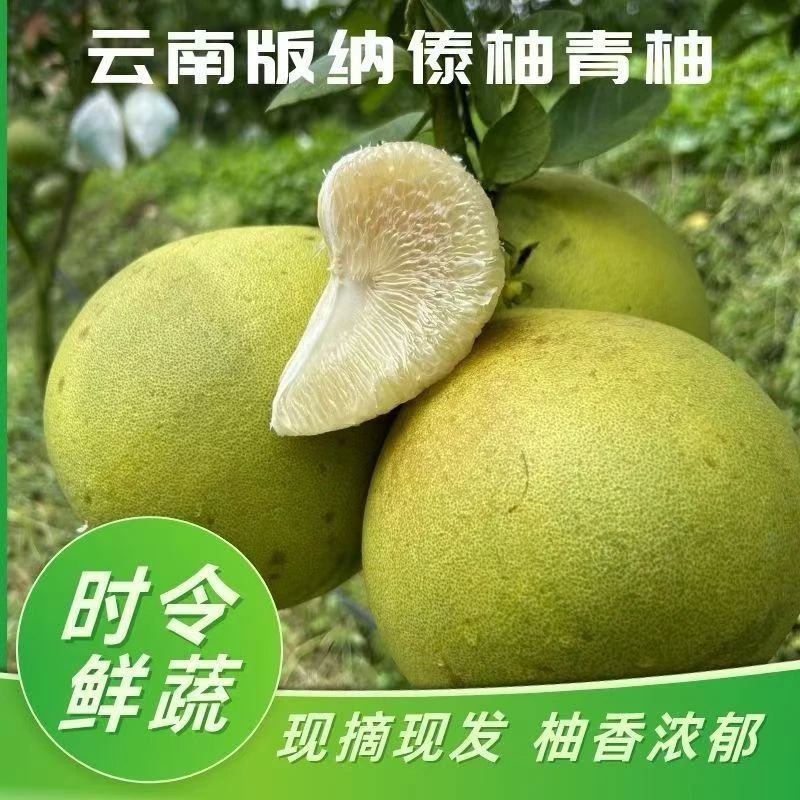 【生态花皮果】西双版纳老品种傣柚树龄50年以上皮薄甘甜美味水果