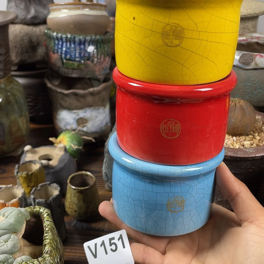 默认微次 限时福利 坛子姐花盆