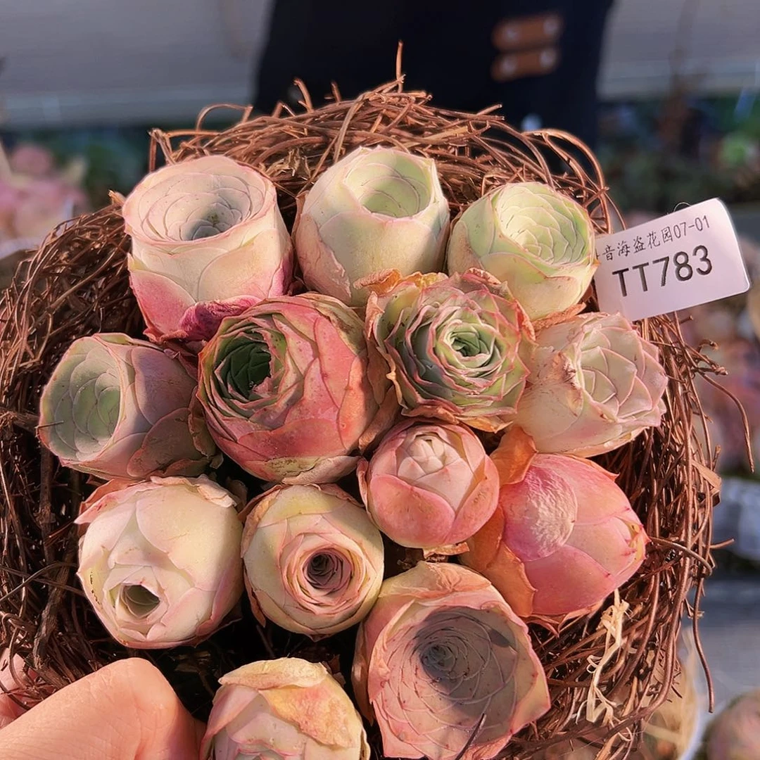 苹*姐T783。 玫瑰混花篮。