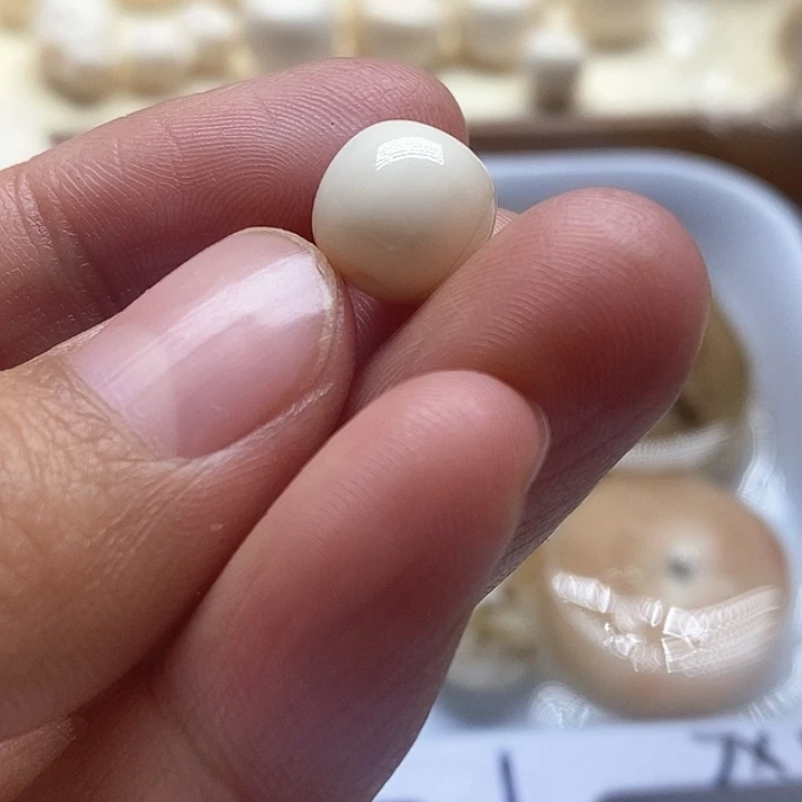 贝壳手串/手链10成9皮肉老邢