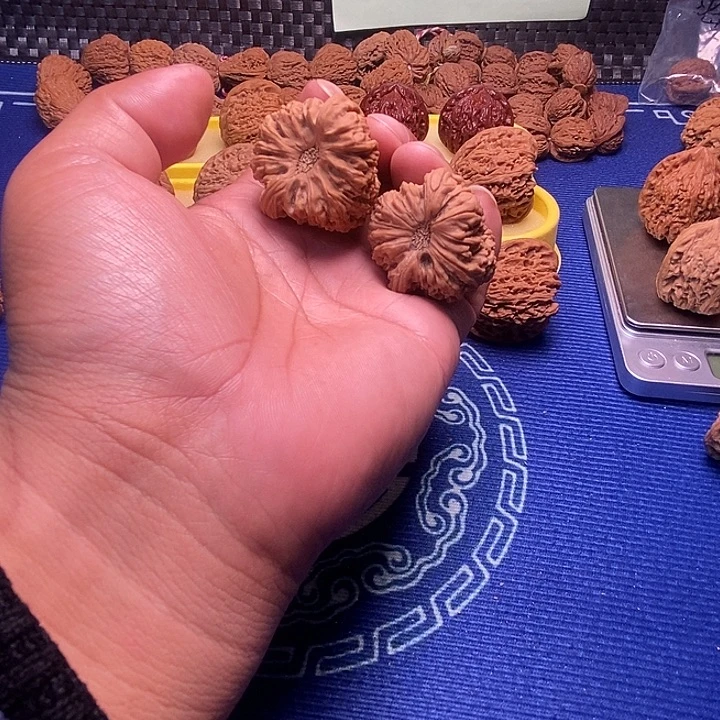 大眼留疤南疆天残37尺