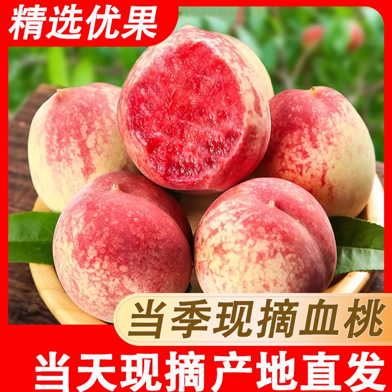 头茬血桃新鲜桃子脆甜当季水果红心桃应季现摘毛桃老品种水蜜桃
