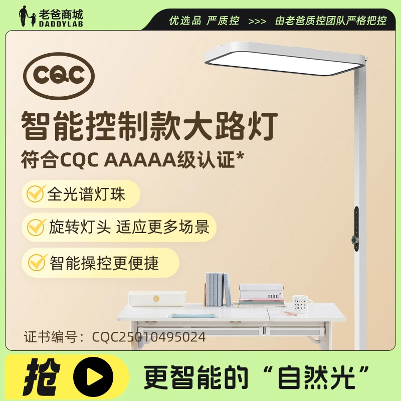 老爸评测定制智能控制款落地学习大路灯