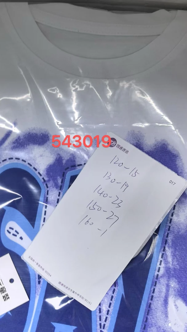 543019春款时尚男童套装