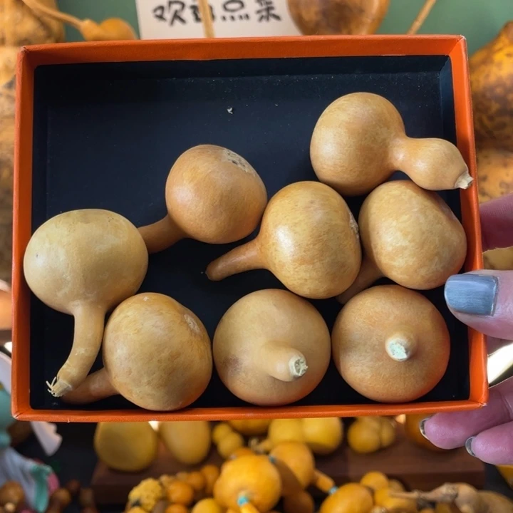 看好下单不保龙头