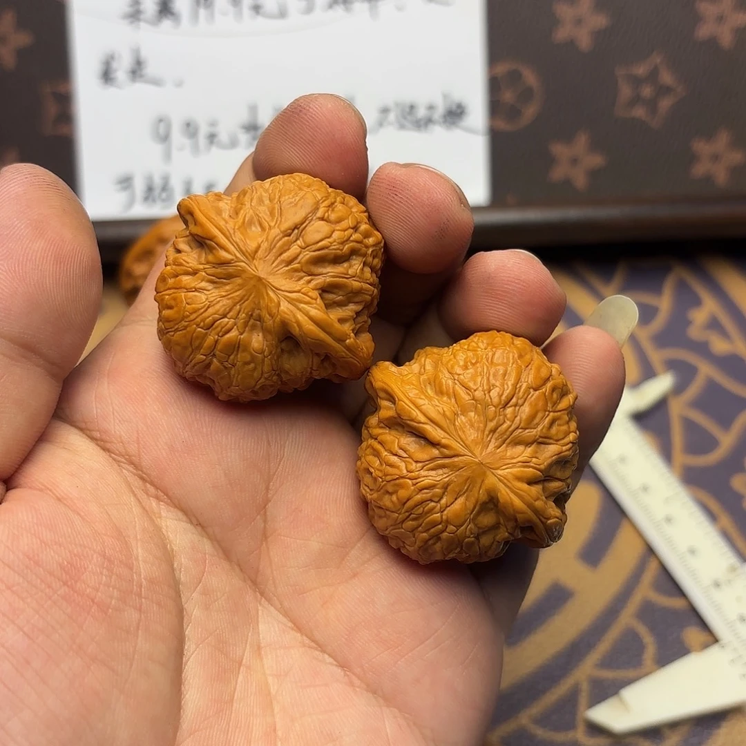 核桃019号 铁锤妹妹。