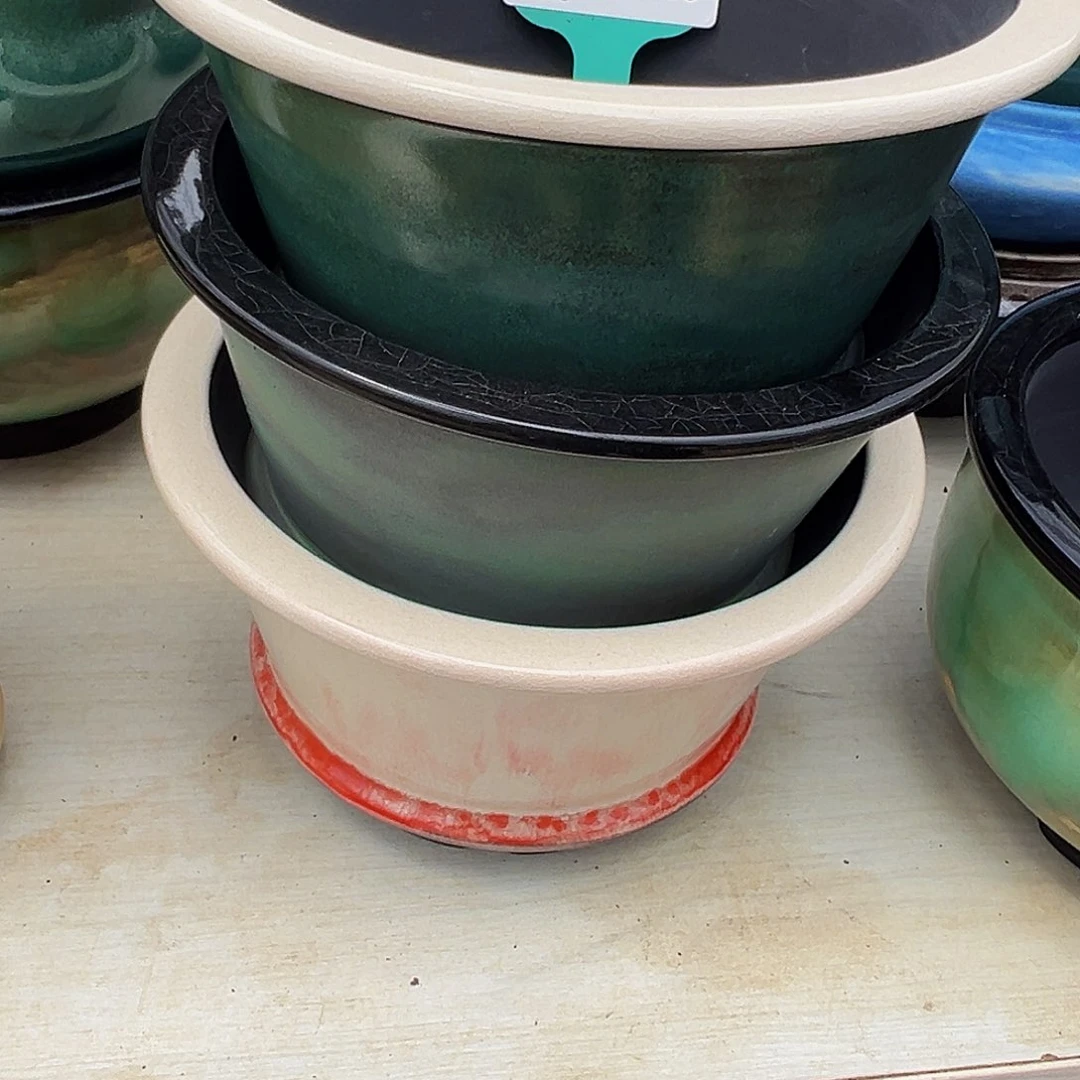 多肉一物一拍0720-60