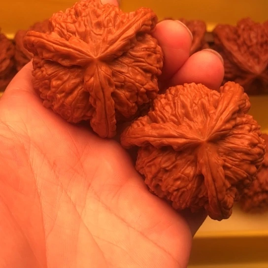 伟***工核桃核桃核桃核桃核桃