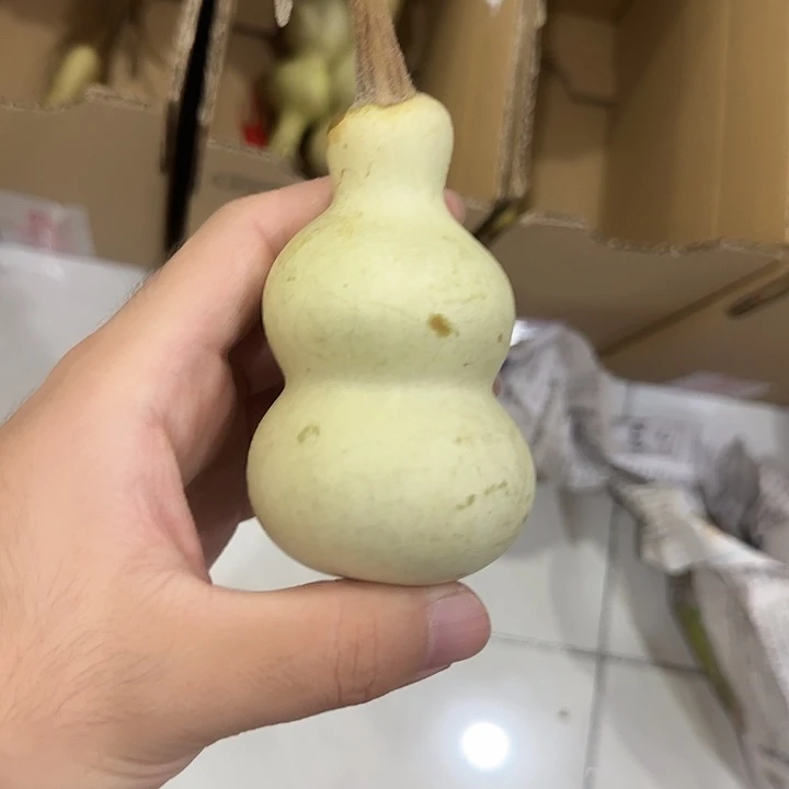 小***墩葫芦dnsjfjsjdjssns
