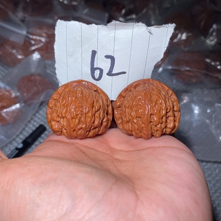 把件桃核37尺白狮子