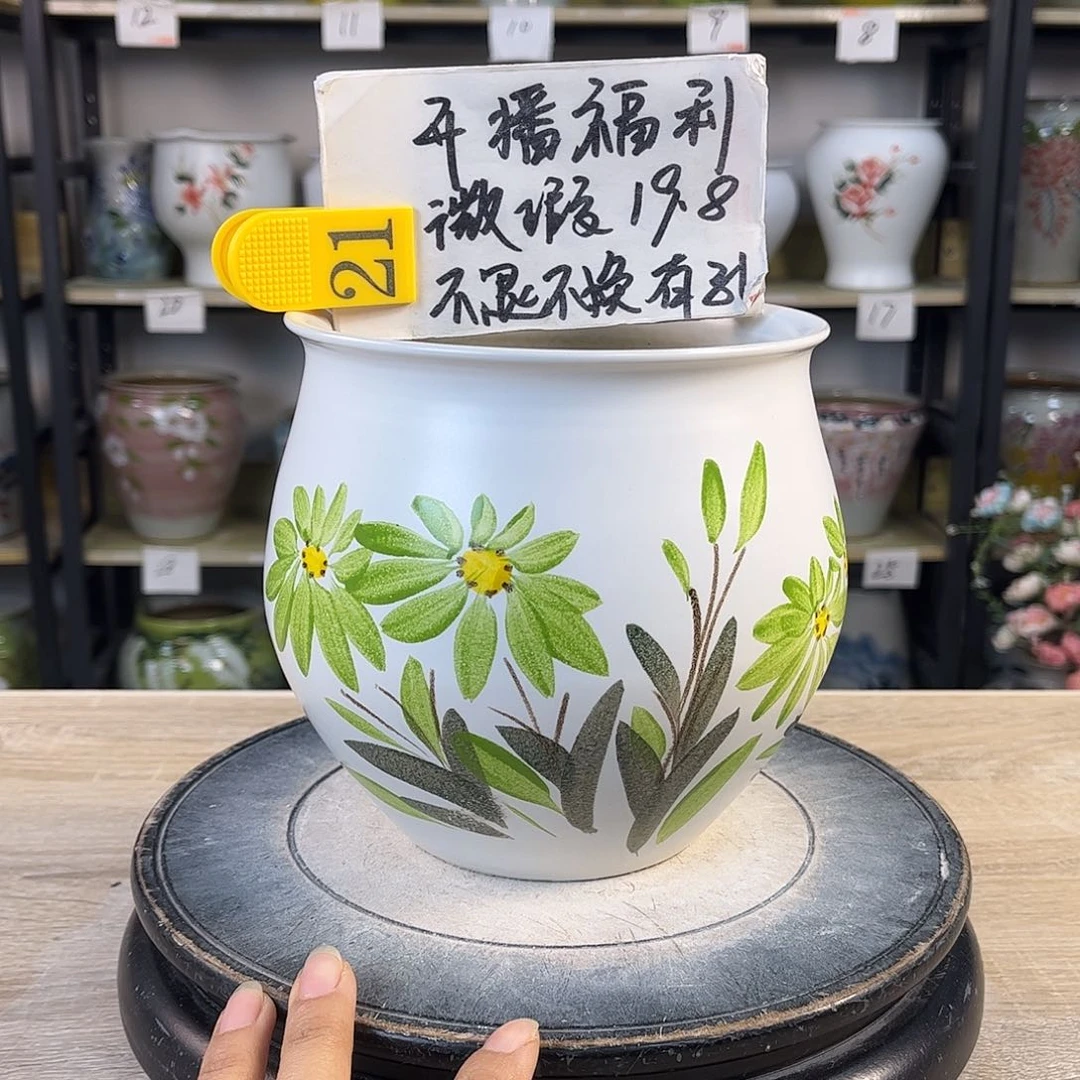 罐1xc景德镇陶瓷花盆