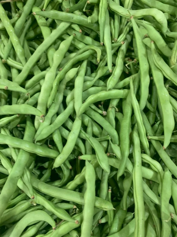 云南农家新鲜优质小金豆四季豆