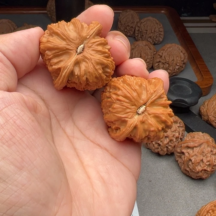 城***料文玩核桃把件白狮子