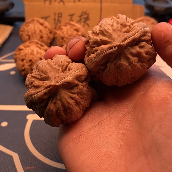 大***溜龙脊菩提吊坠霸王龙