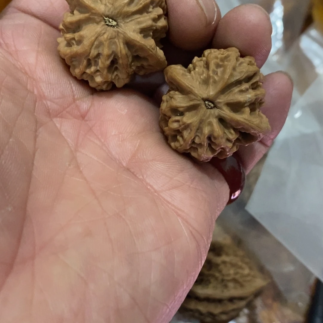 秦岭山脉东面至黄河西