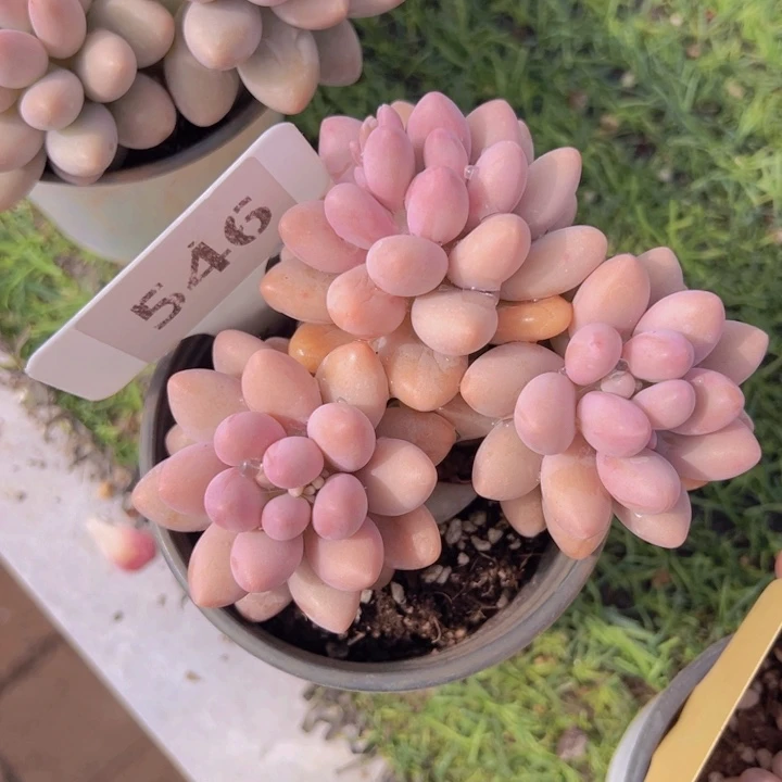 健健康康平平安安