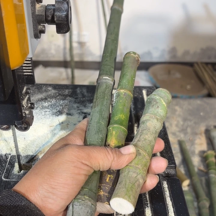 竹薯***?实心竹竹竹竹竹竹竹竹竹