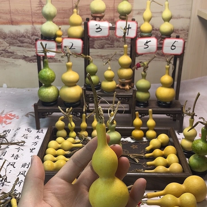 葫芦葫芦葫芦葫芦
