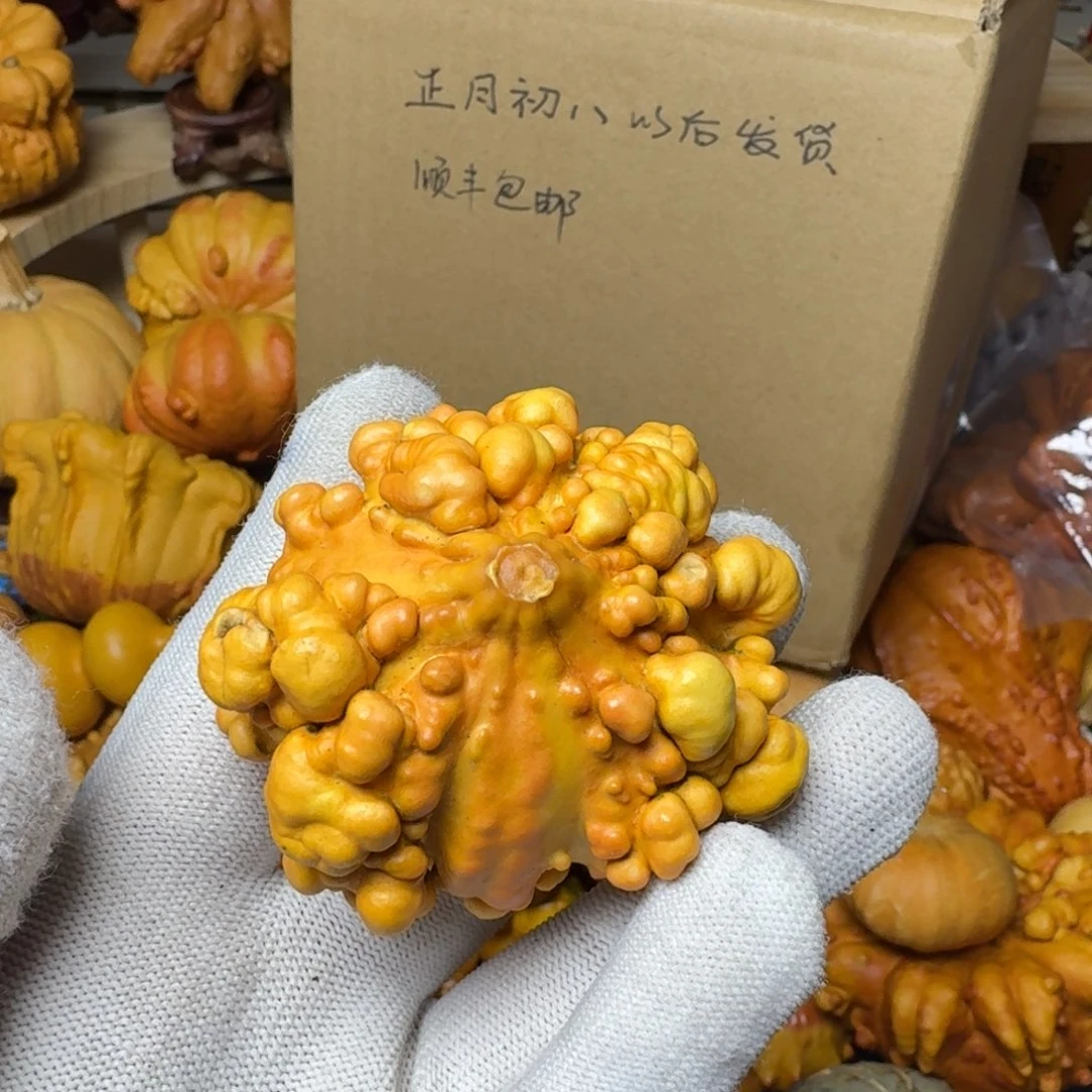 雪*特价葫芦不退不换