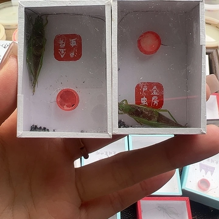 霍氏精品一只包邮