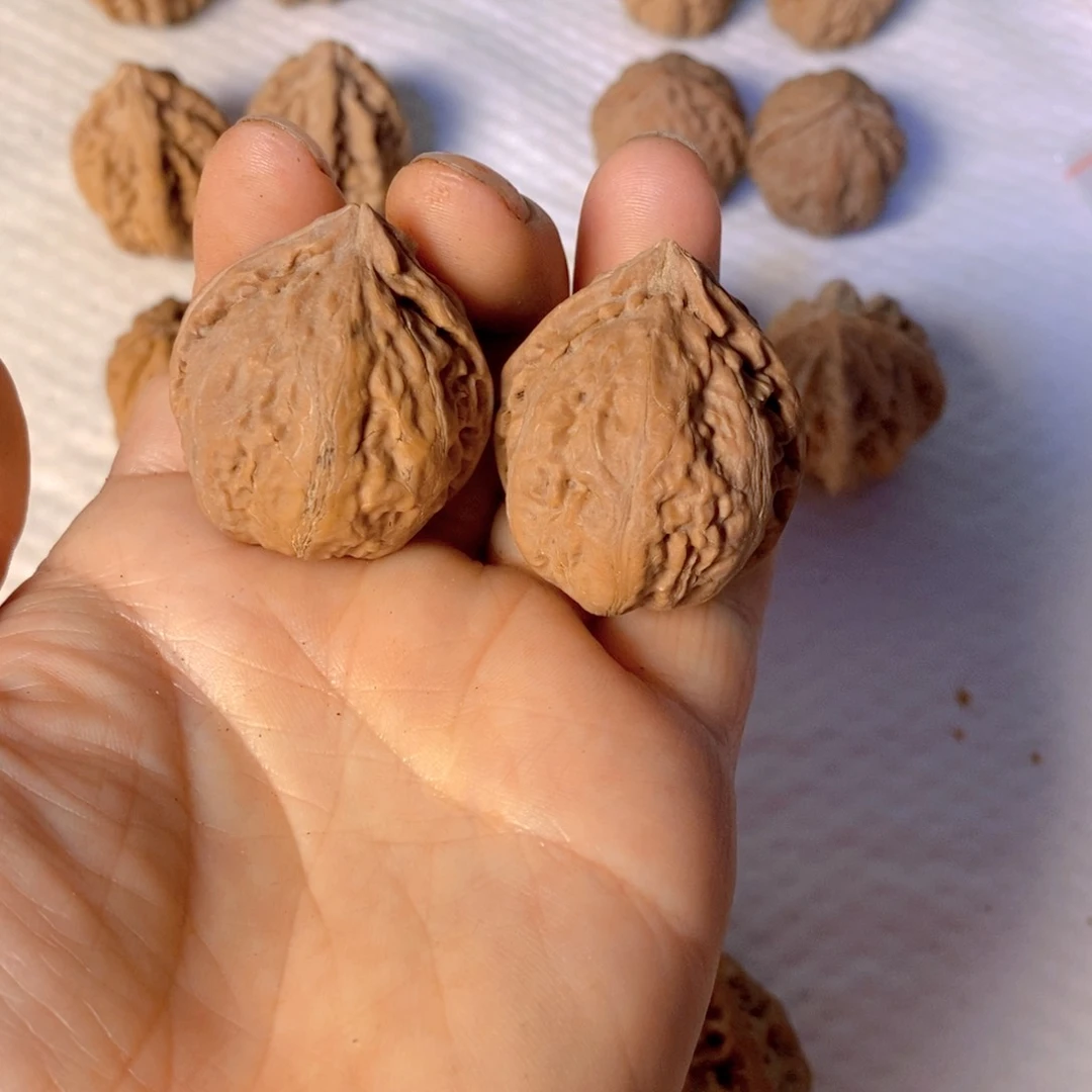 文玩核桃把件野生秋的手把文玩