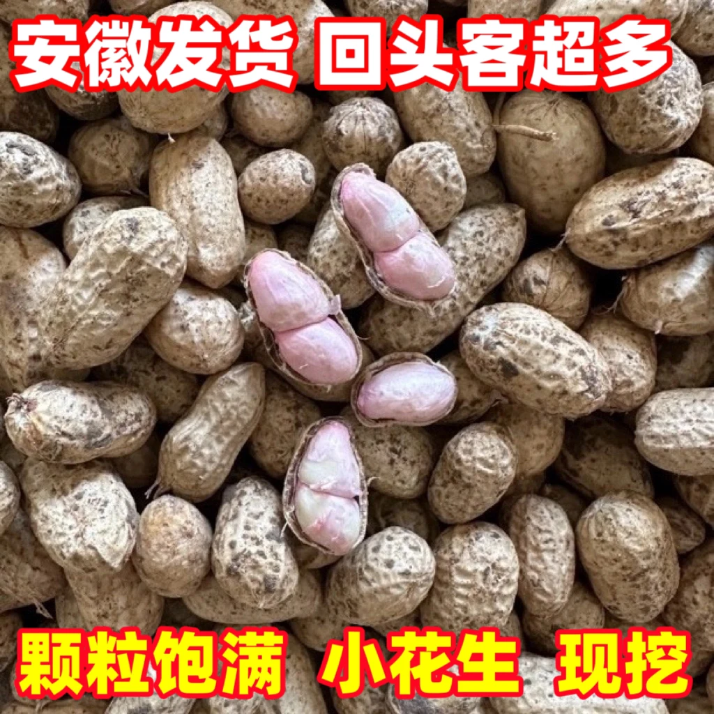 安徽带泥新鲜花生颗粒饱满带皮生花生小白沙罗汉果湿花生当季现挖