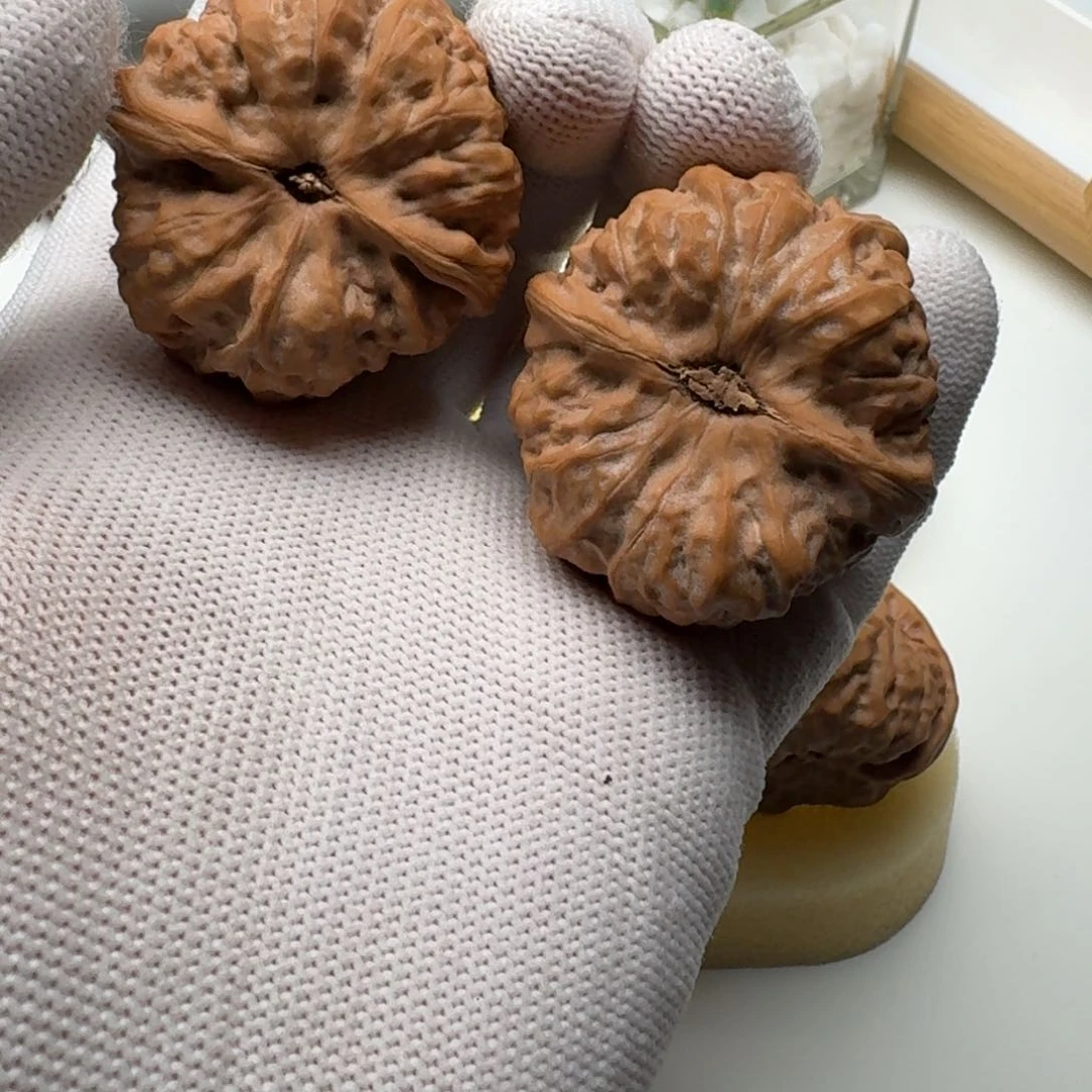 打底不退不换到手看好