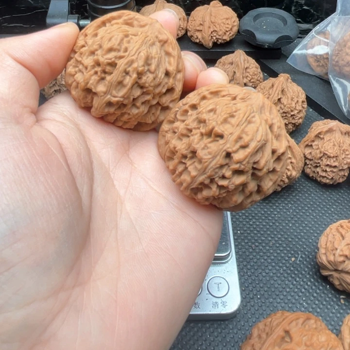 核桃手串/手链胖***斗南疆石42尺全品高差一尺