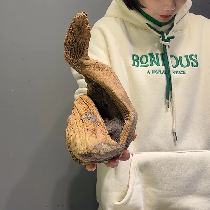 美***景香榧木好喜欢这个