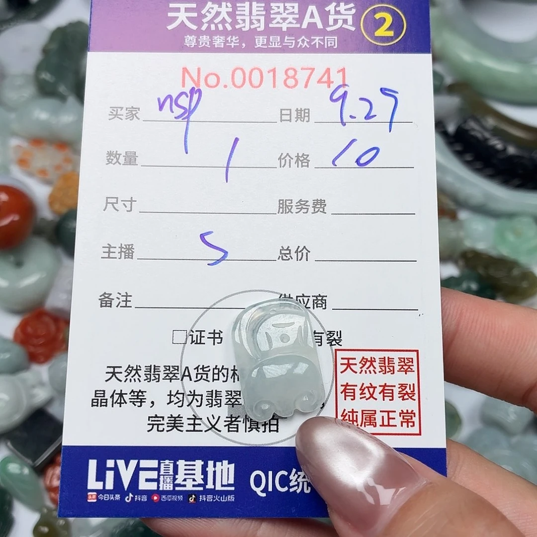 n***p翡翠未镶嵌颈饰35